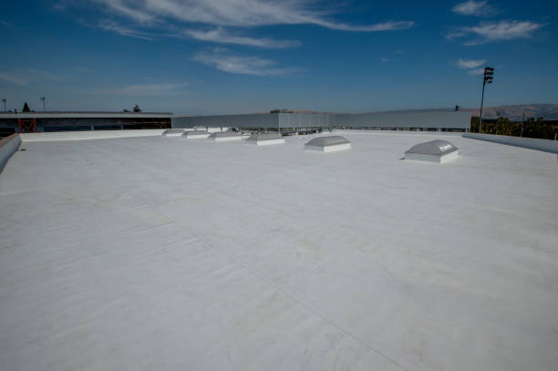 Best Roof Leak Repair  in Nixa, MO