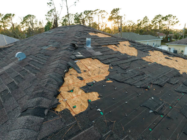 Best Sheet Metal Roofing  in Nixa, MO